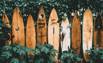 Ultimate Guide To Surfing In Hawaii